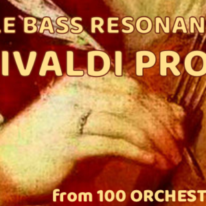Double Basses – “The Vivaldi Problem”